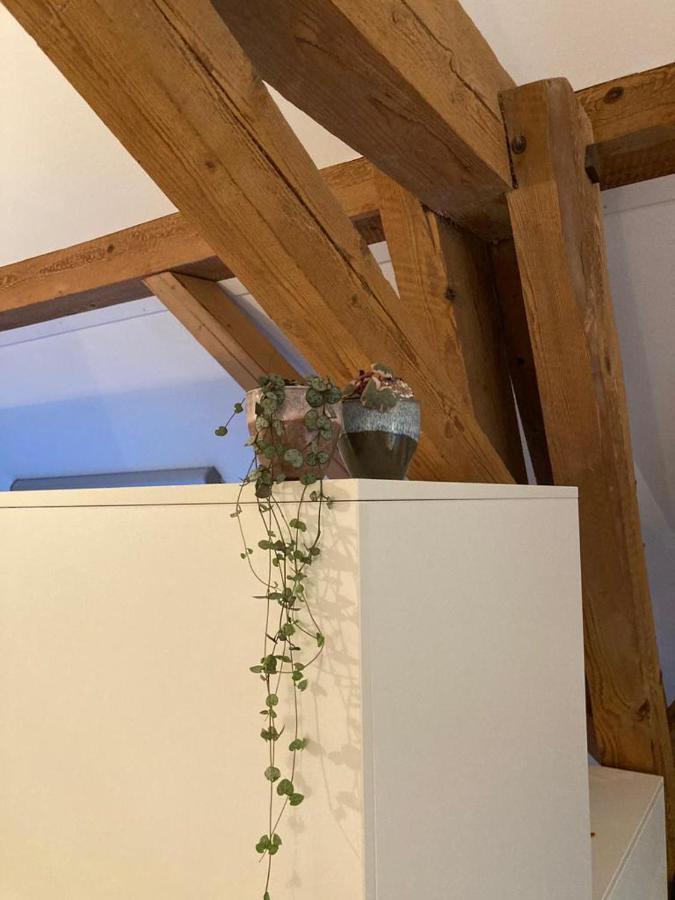 Ferienwohnung Burg Муртен Екстер'єр фото